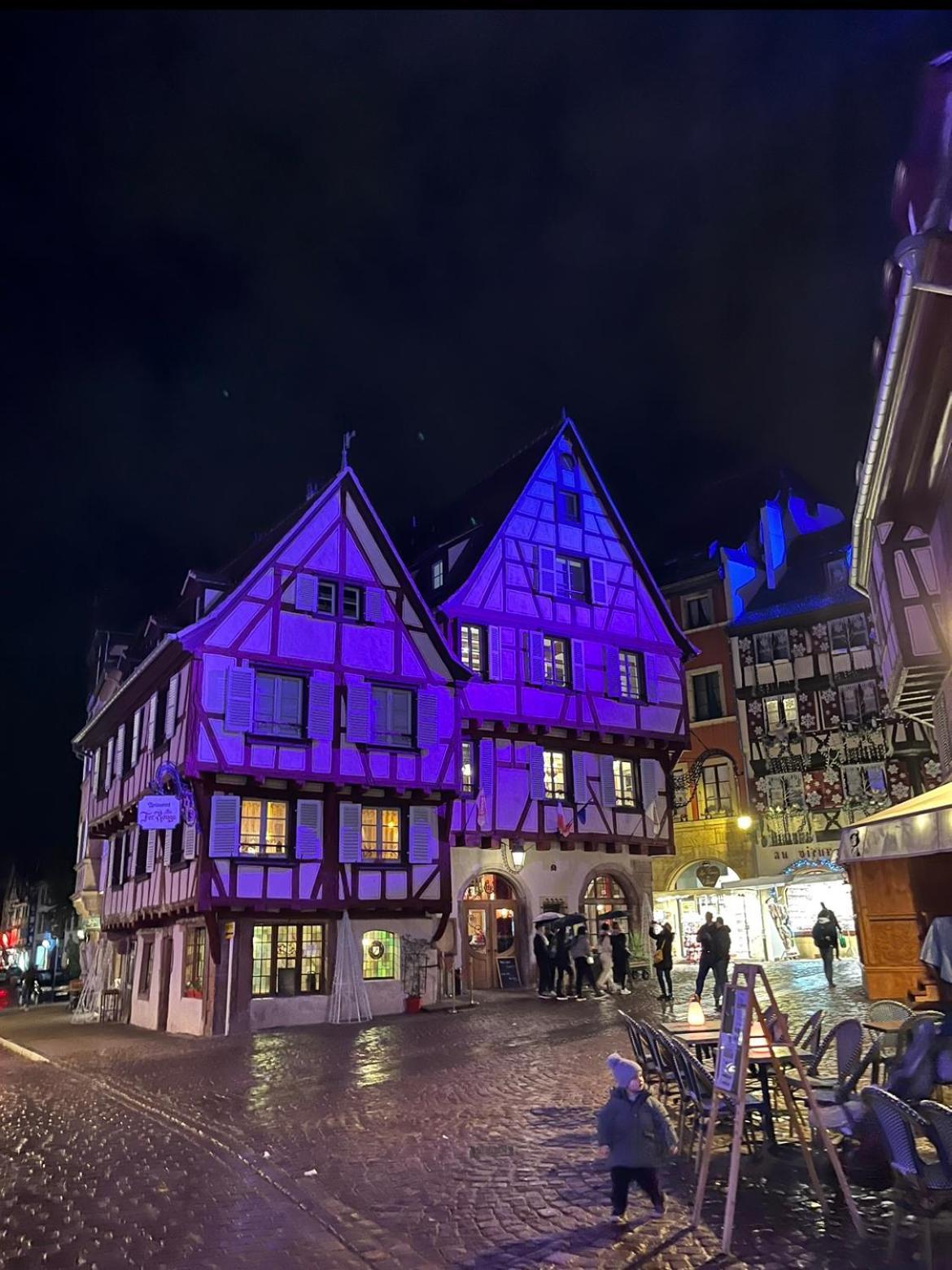 Le Venise, Parking Prive, Neuf & Spacieux コルマール エクステリア 写真